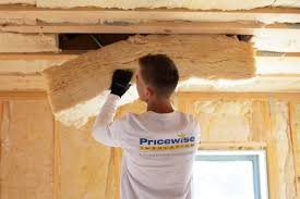 Best Insulation Removal  in Astor, FL